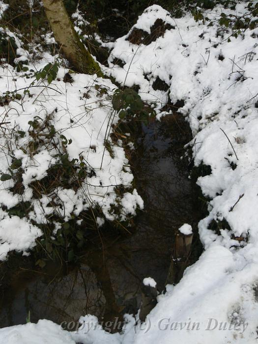 Hidden reflections, Winter, Hampstead Heath P1070456.JPG